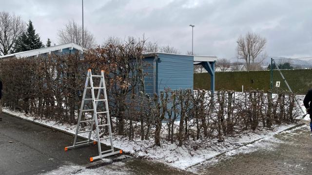 IMG-20250214-WA0010